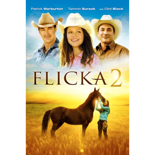Flicka 2 - 2010