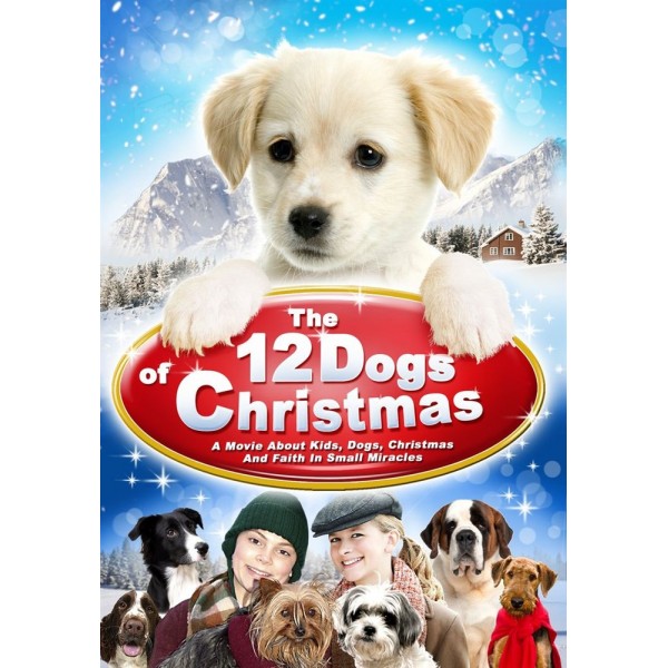 Todos os Cães do Natal - 2005